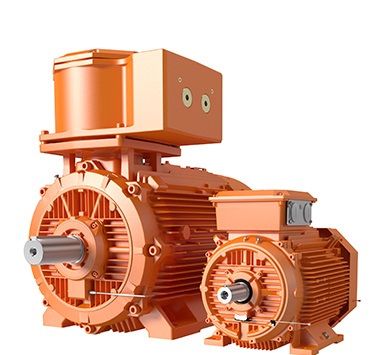 IEC low voltage motors